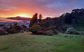 Burnie Port Views